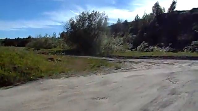 Родник. Желтые листья. Ели пожелтели. Странное лето. смотреть онлайн