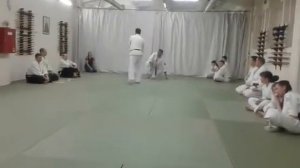 Айкидо РОИЯКС