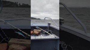 Волжанка 46 Фиш на Волге. Волна.