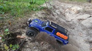 Traxxas TRX 4 Sport в роли Лесника /// Forester