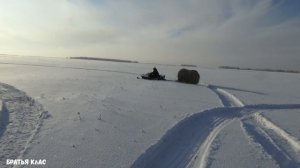 Рысь с грузом почти 0,5 тонны по снегу!