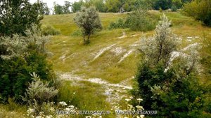 Разговор с душой  -  Песня когда плачет Душа. Песня про судьбу