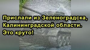 Прислали из Зеленоградска, Калининградской области. Это круто!