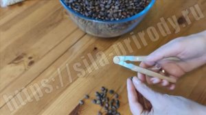 Орехоколка для кедрового ореха