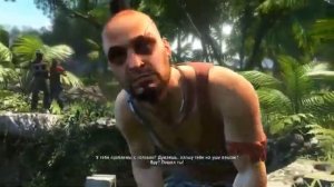 Far Cry 3 Ваас о о безумии