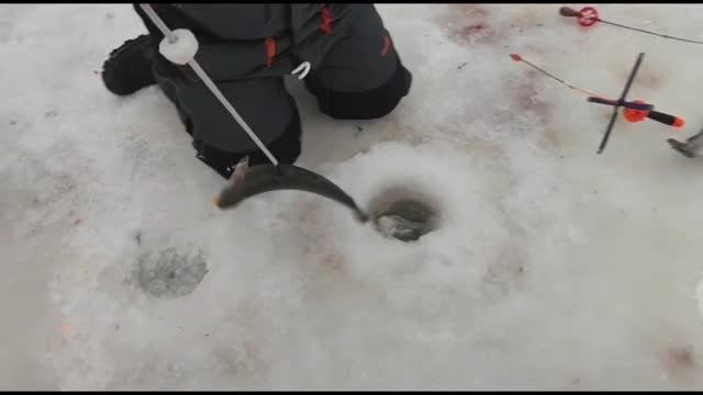 Рыбалка в Красногорске.BigCarp.Ловля форели.Рыбалка на платнике.Беседки,отдых,рыбалка,досуг.