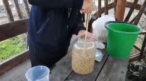 Процесс приготовления диких дрожжей. от А до Я.