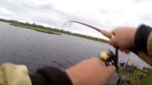 Трофейная щука! Всё таки я её поймал) Рыбалка в Сургуте