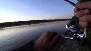 Зачетный Жерех на ратлин. Ока. Сентябрь.