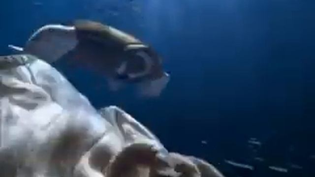 ARISTON AQUALTIS TV Commercial 2006 смотреть онлайн