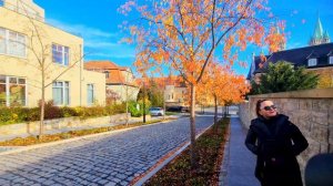 Поехали вместе в Naumburg / Deutschland 2023  Наумбург / Германия