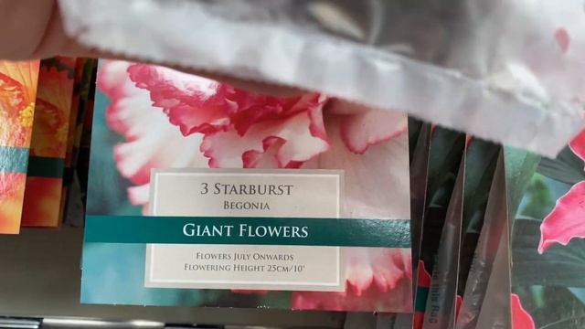 Георгины Бегонии Редкие Луковичные на Весну! Лондон ОБЗОР London Garden Centre смотреть онлайн