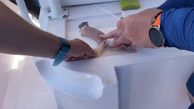 МАЛЬДИВЫ. УТРЕННЯЯ РЫБАЛКА НА МАЛЬДИВАХ! BIG GAME FISHING MALDIVES. смотреть онлайн