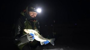 ОДИН НА ЛЬДУ. РЫБАЛКА С КОМФОРТОМ. СУДАК на жерлицы