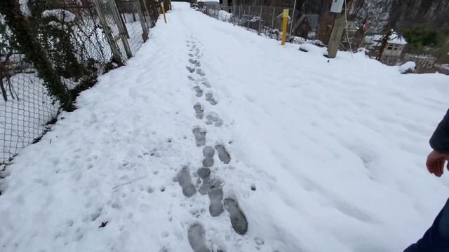 Три земельных участка в Сочи | Где купить участок в Сочи | АН СССР Сочи