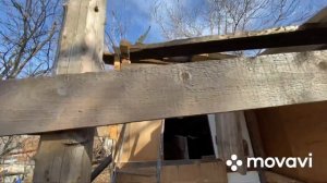 Как определить жирность молока у нетели готовлю место для теленка