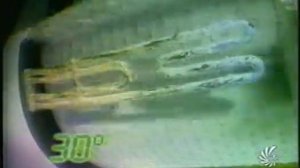 Реклама средство от накипи Calgon 2000 год