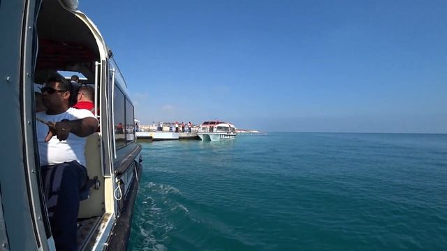 MSC LIRICA (высадка на Остров - заповедник Сир Бани Яс ) смотреть онлайн