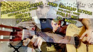 Этюд  ре - минор / Хулио Сагрерас / Как играть на гитаре / Study d - minor / Hulio Sagreras / TAB's