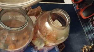 Компот из сибирских слив! Как приготовить компот из слив?