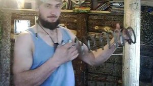 ИЗОМЕТРИЧЕСКИЕ УПРАЖНЕНИЯ