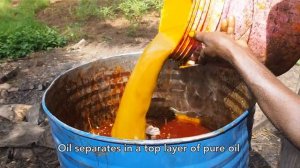 How Smallholder Farmers Process Palm Oil in Kigoma Tanzania