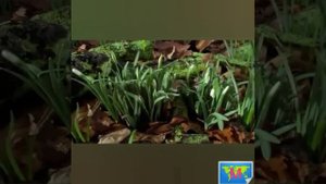 #Танита#Тикарам НАШ ОБЩИЙ ДОМ