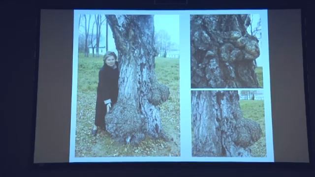 Ермакова Ирина Владимировна ГМО СПАСЕНИЕ ИЛИ УГРОЗА смотреть онлайн