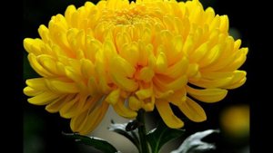 30 Сентября Православный Праздник Веры,Надежды,Любови и матери их Софии.Народный Календарь Приметы