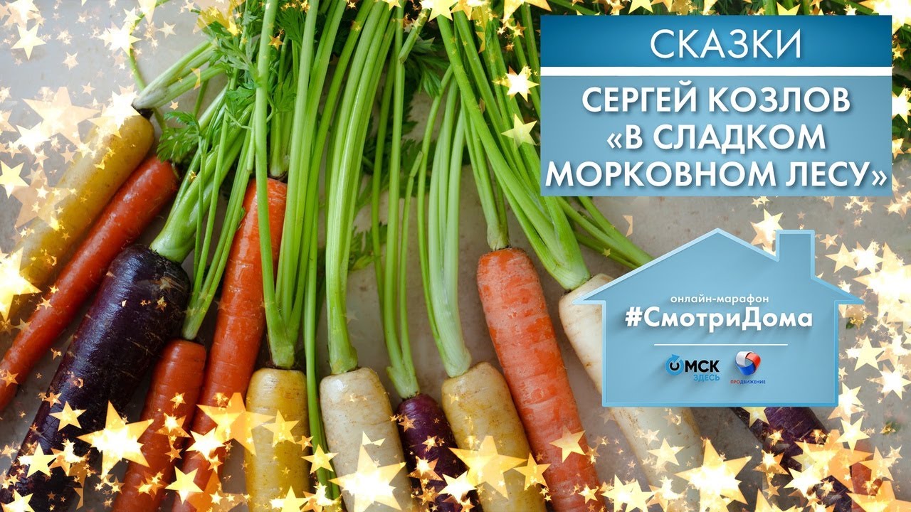 #СмотриДома | Сергей Козлов «В сладком морковном лесу» | Сказки на ночь