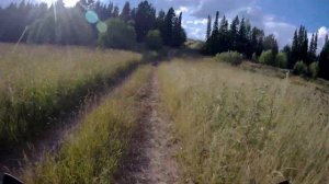 Газ в пол по полю на Wels mx250r