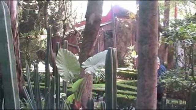 Lens_ Дом-музей Троцкого, музей Фриды Кало, Мексика