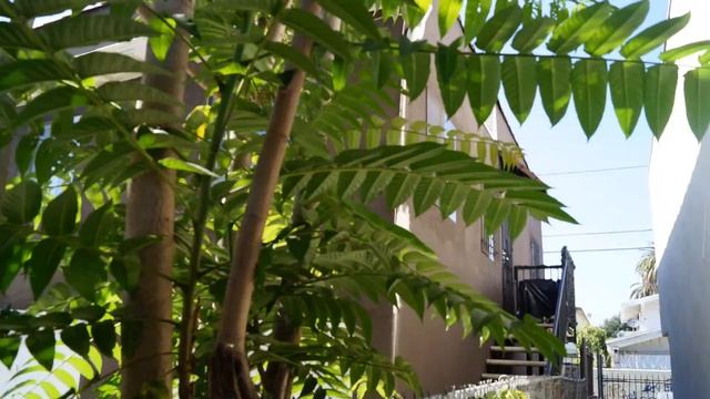 sony a57 photo test смотреть онлайн