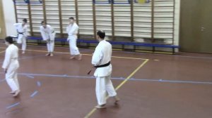 Хэйан Седан (Шодан) - тренировка 3 марта 2017