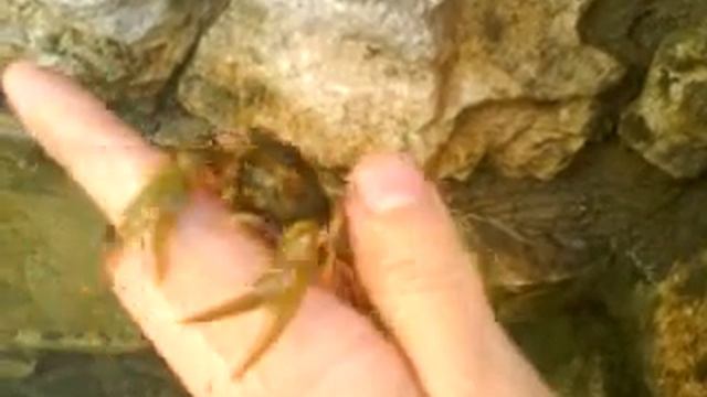 Рак смотреть онлайн