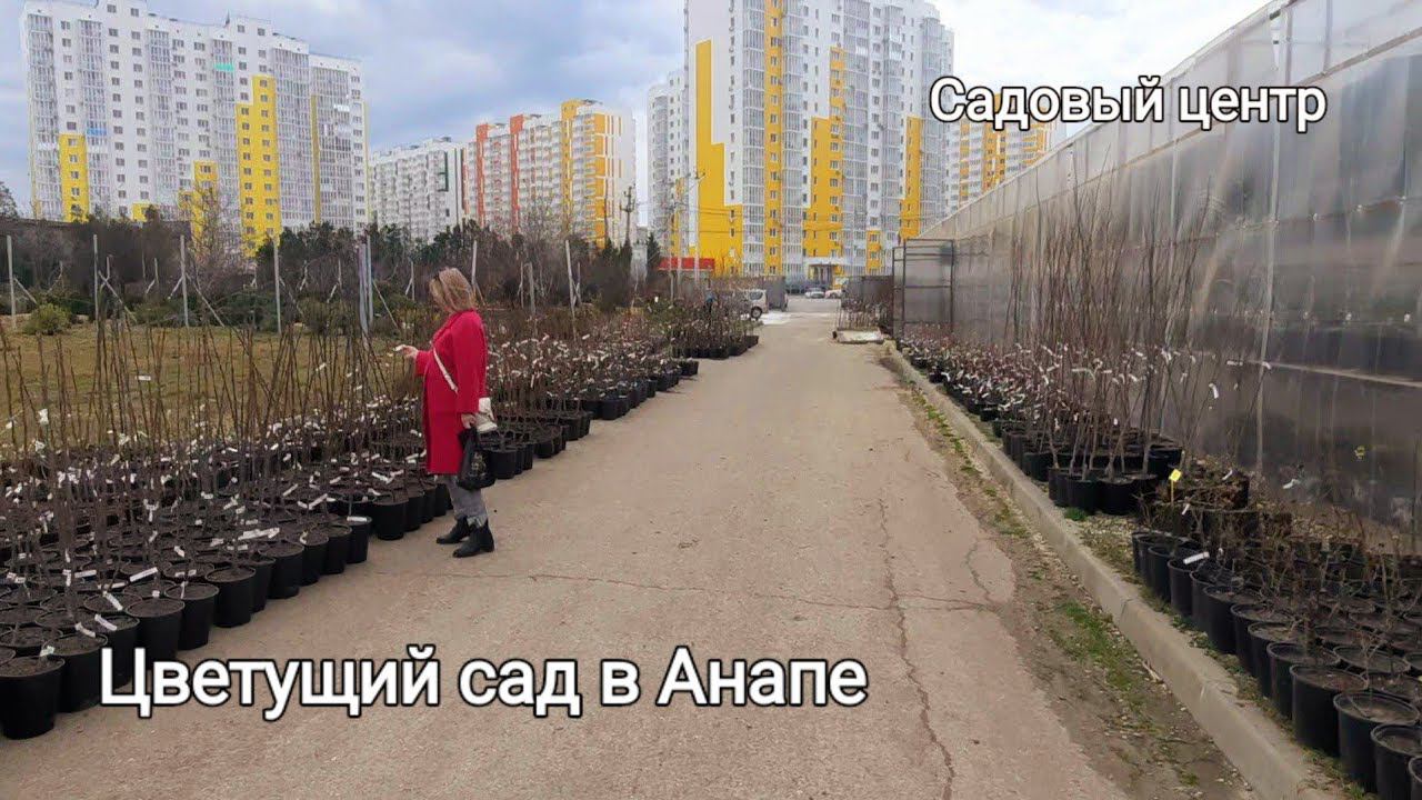 Садовый центр - #Анапа. Цветущий сад.