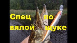 Спец по вялой щуке. Обзор воблера  Kosadaka Shinner XS.