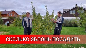 И НЕ ГОВОРИТЕ ЧТО Я НЕ ПРЕДУПРЕЖДАЛ!!! больше двух яблонь не сажать! иначе будете потом.....mp4