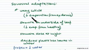 Xerophytes and Hydrophytes | A-level Biology | OCR, AQA, Edexcel