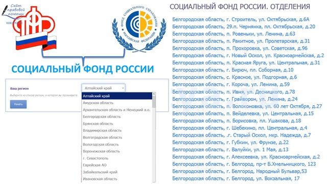 Уже известно, по каким адресам обращаться в Социальный фонд России, вместо ПФР и ФСС