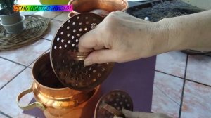 Здоровье из крапивы. Алькитара Гидролаты