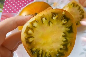 Томат Малахитовая шкатулка от Сибирского сада