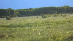 грозный хозяин.mp4