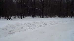 Снегоход Тэсик.MPG