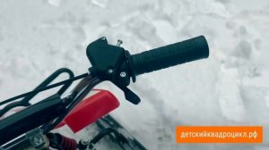 Детский квадроцикл и снегоход на бензине. KidMoto KQ-502LT