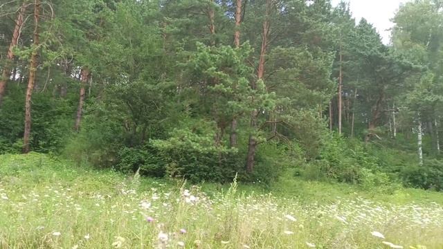 село Колюпаново Алексин Тульской области.