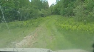 5 Необъяснимых существ снятых на камеру.