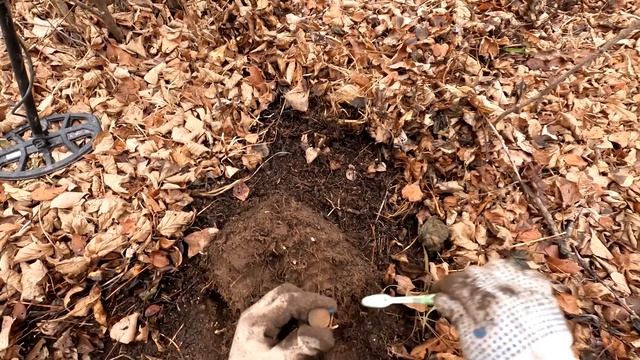 Коп по выбитым местам продолжается. Шикарные находки смотреть онлайн