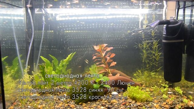 Светодиодная подсветка в аквариуме своими руками смотреть онлайн
