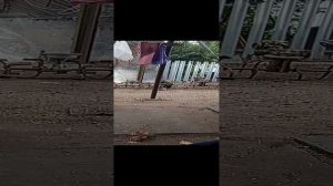 Ножи для косьбы сена